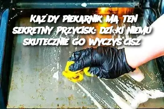 Każdy piekarnik ma ten sekretny przycisk: dzięki niemu skutecznie go wyczyścisz