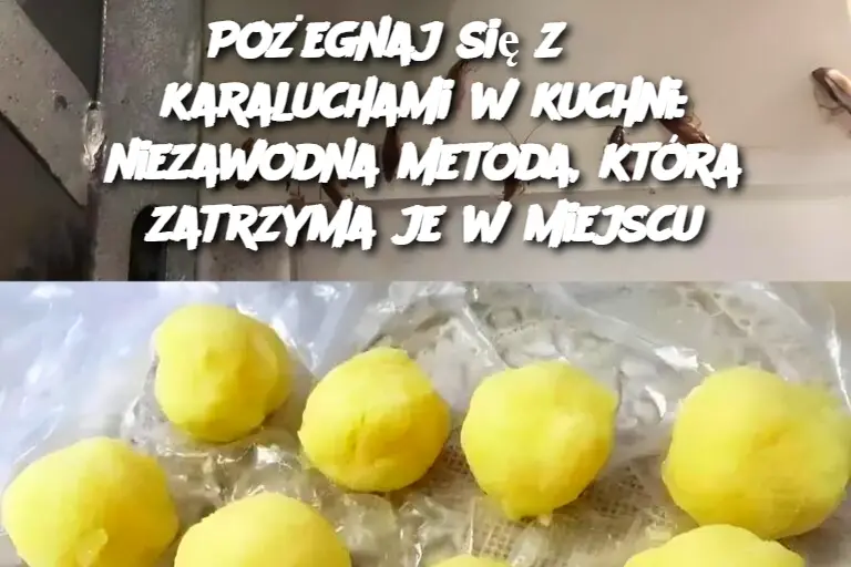 Pożegnaj się z karaluchami w kuchni: niezawodna metoda, która zatrzyma je w miejscu