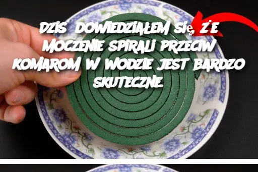 Dziś dowiedziałem się, że moczenie spirali przeciw komarom w wodzie jest bardzo skuteczne.