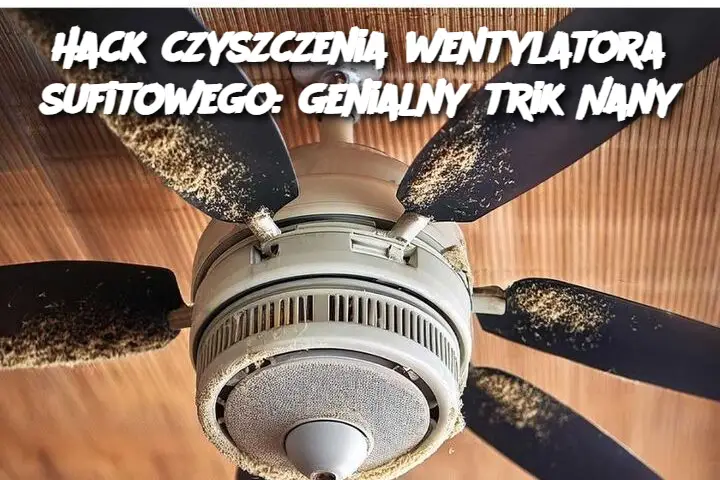 Hack czyszczenia wentylatora sufitowego: genialny trik Nany