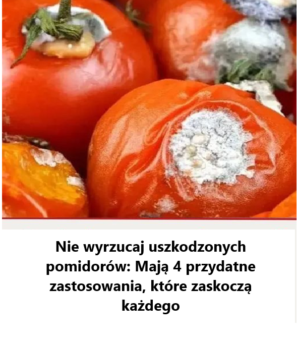 Nie wyrzucaj uszkodzonych pomidorów: Mają 4 przydatne zastosowania, które zaskoczą każdego