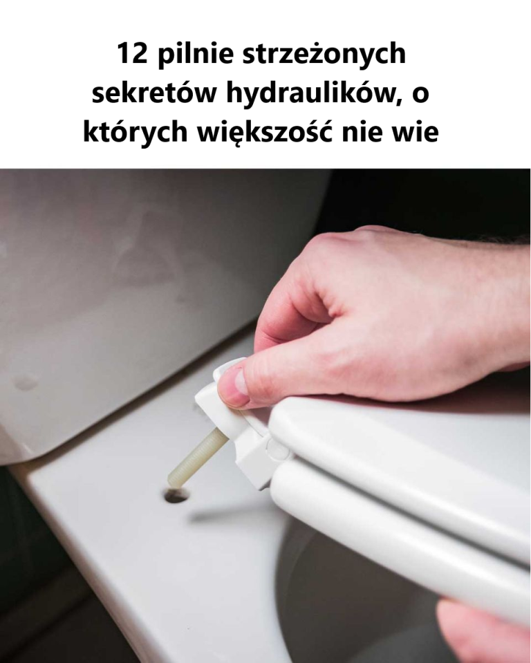 Sekrety hydrauliki: porady i wskazówki dla właścicieli domów