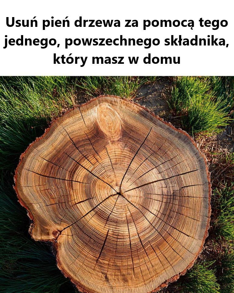 Nie miałem pojęcia, że ​​to możliwe! Za fajne