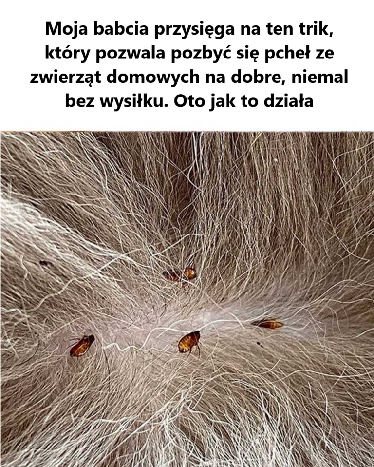 Szkoda, że ​​nie dowiedziałem się tego wiele lat temu