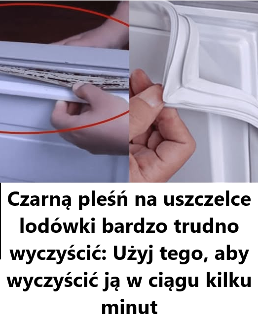 Czarną pleśń na uszczelce lodówki bardzo trudno wyczyścić: Użyj tego, aby wyczyścić ją w ciągu kilku minut