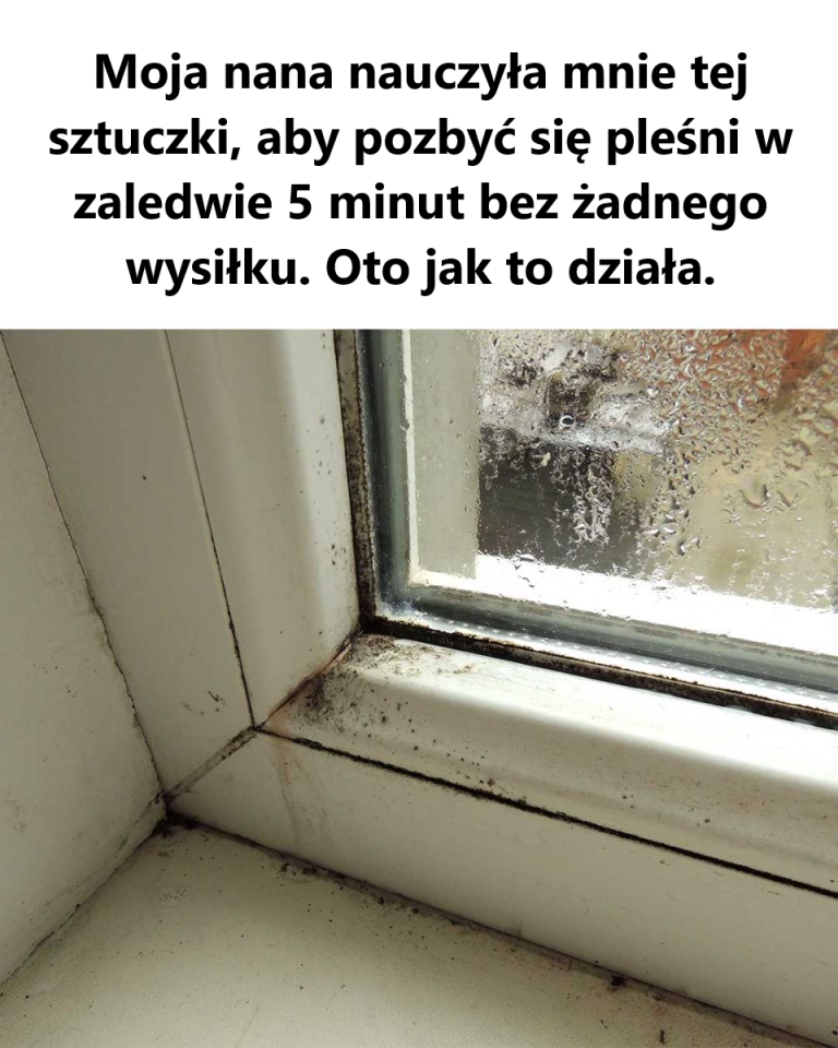 Szybkie i skuteczne usuwanie pleśni za pomocą nadtlenku wodoru