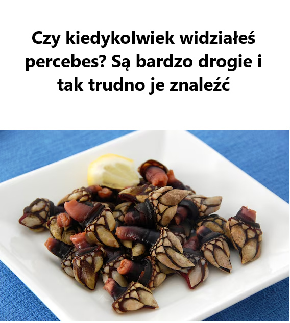 Brzydkie, niebezpieczne i drogie, ale pyszne: czym są Percebes?