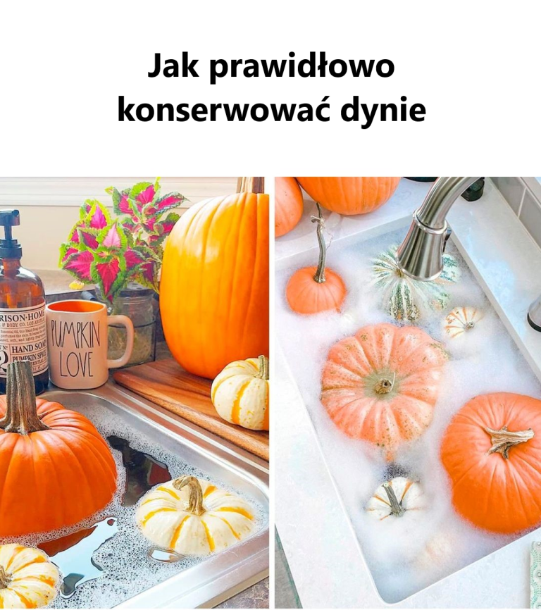 Jak prawidłowo konserwować dynie