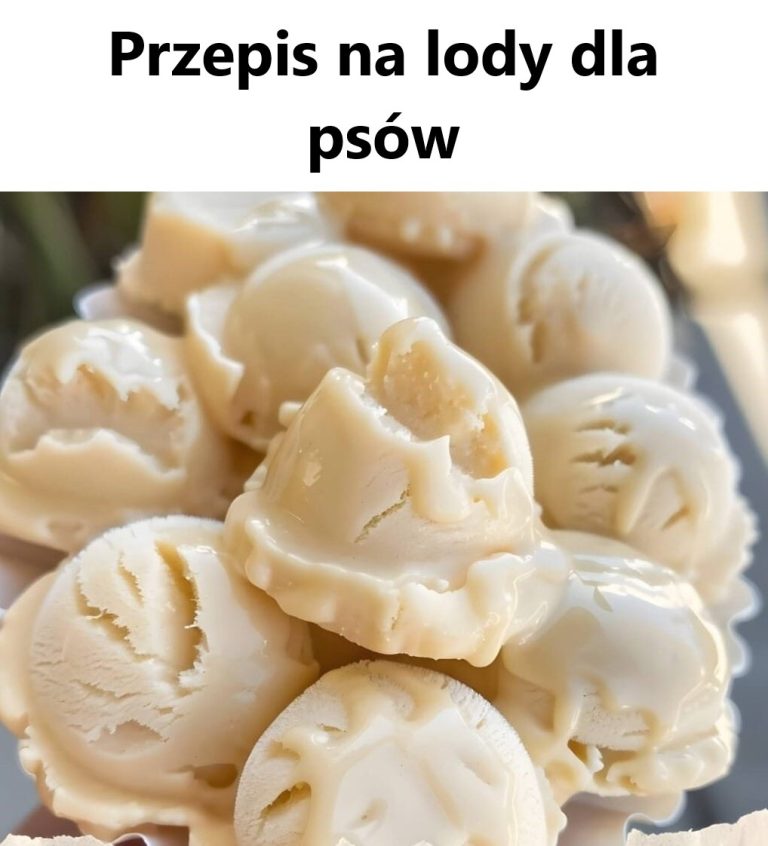 Przepis na lody dla psów