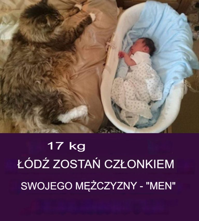 Ogromny Kot Maine Coon Uwielbia "Swoje" Ludzkie Dzieci