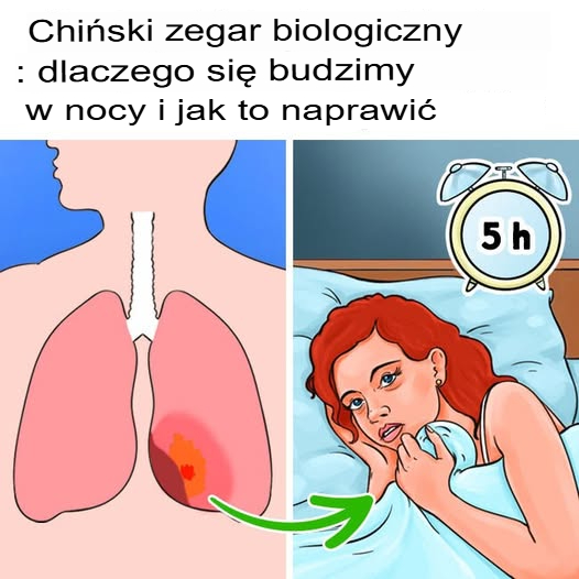 Chiński Zegar Biologiczny – Dlaczego Budzisz Się w Nocy?