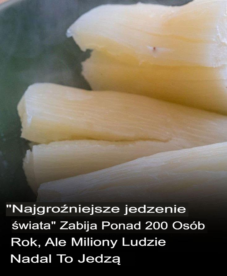 Najbardziej Śmiercionośne Jedzenie na Świecie – Czy Odważysz Się Spróbować?