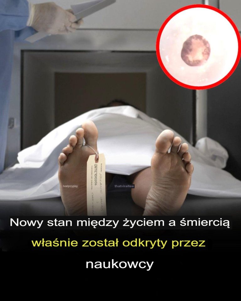 Naukowcy odkrywają „trzeci stan” poza życiem i śmiercią! Przełom w medycynie!