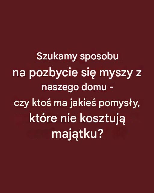 Potrzebuję hacków