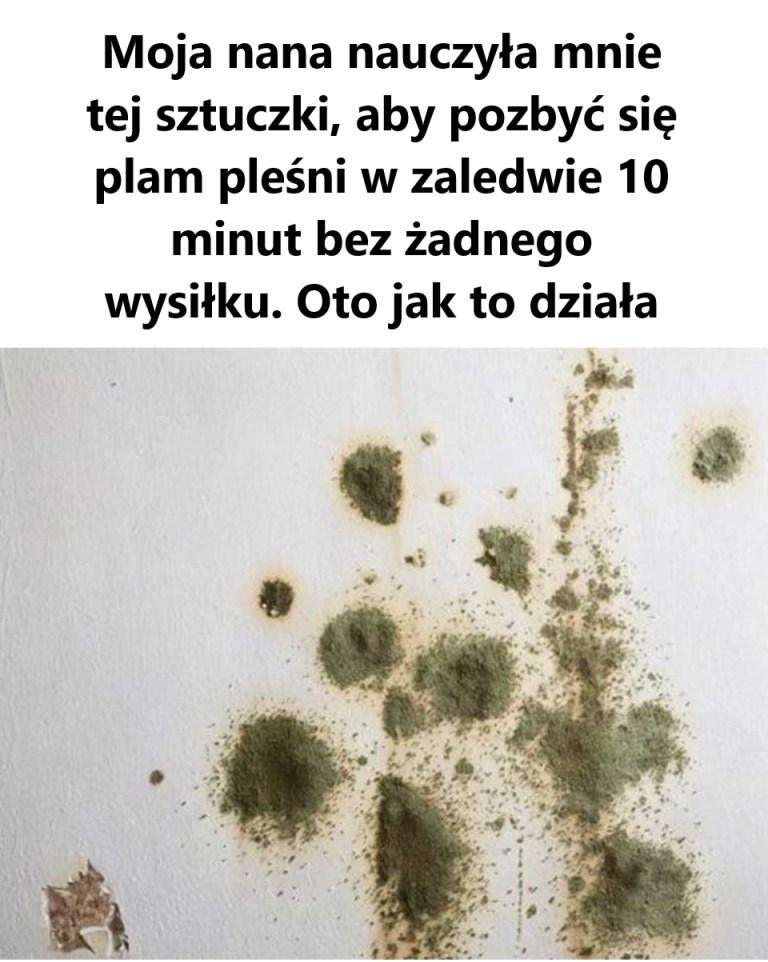 Sprytny!Sprytny!
