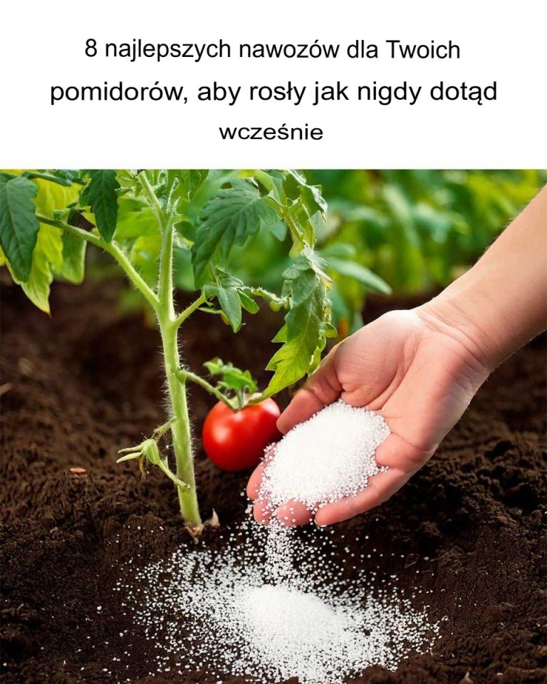 8 najważniejszych rzeczy dla Twojej rodziny, a także jedzenie, które spożywasz