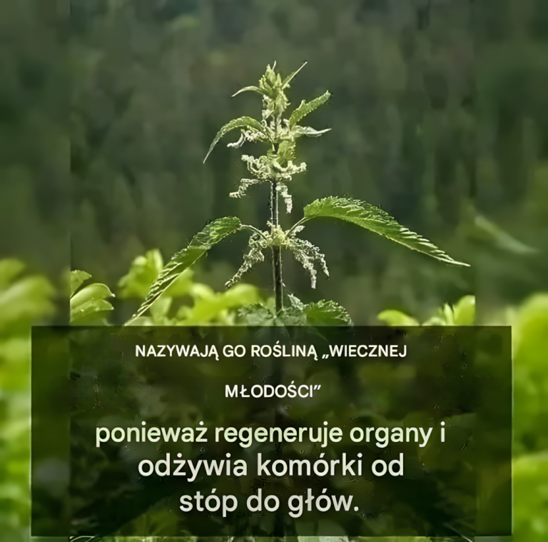 Roślina młodości: uzdrawiające przepisy na zdrowie i witalność
