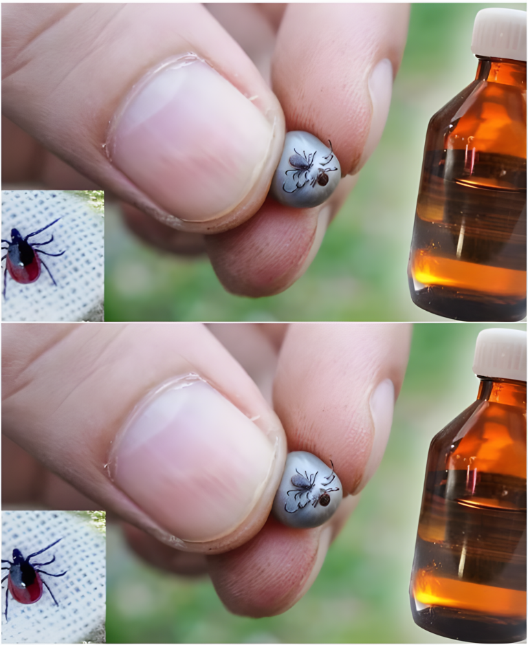 Dlaczego myśliwych nigdy nie gryzą kleszcze? Znajomy ujawnił 10 zapachów, które są tak straszne jak ogień