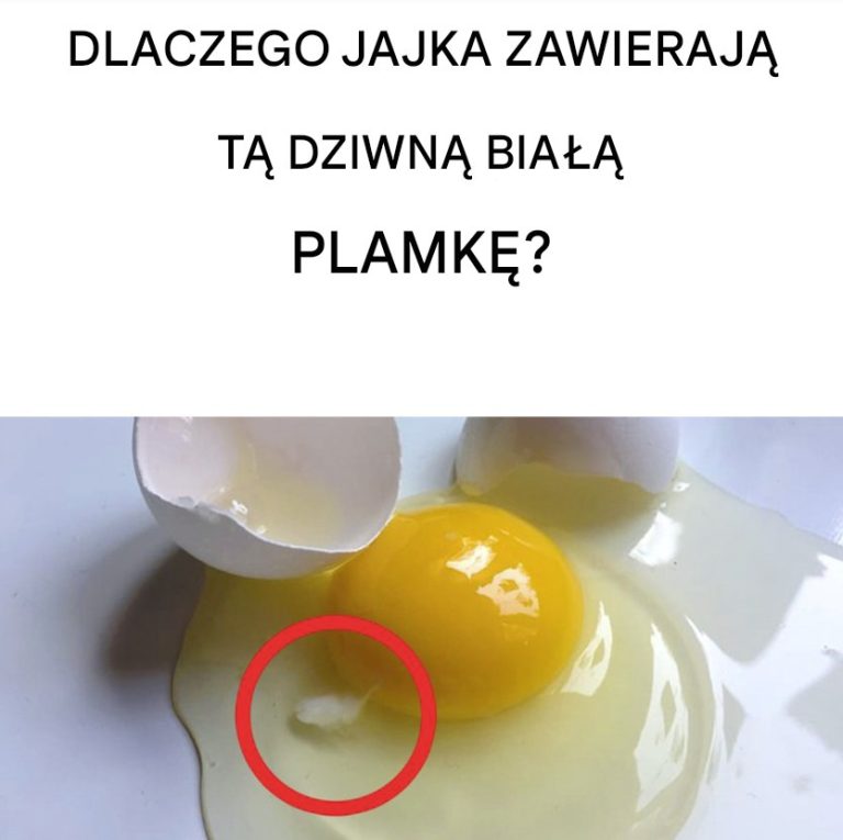 Oto co oznacza biała plamka na jajkach