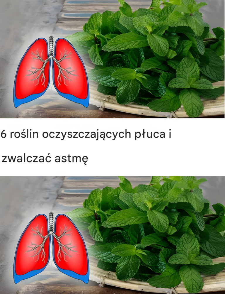 6 roślin umiera na długi czas i żyje dłużej