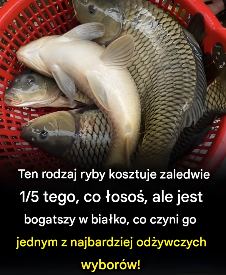 Ten rodzaj ryby kosztuje zaledwie 1/5 tego, co łosoś, ale jest bogatszy w białko, co czyni go jednym z najbardziej odżywczych wyborów!
