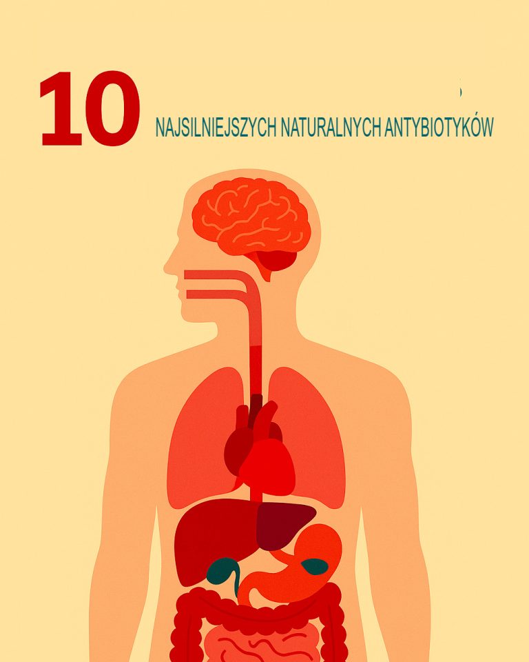 10 najskuteczniejszych naturalnych antybiotyków znanych ludzkości