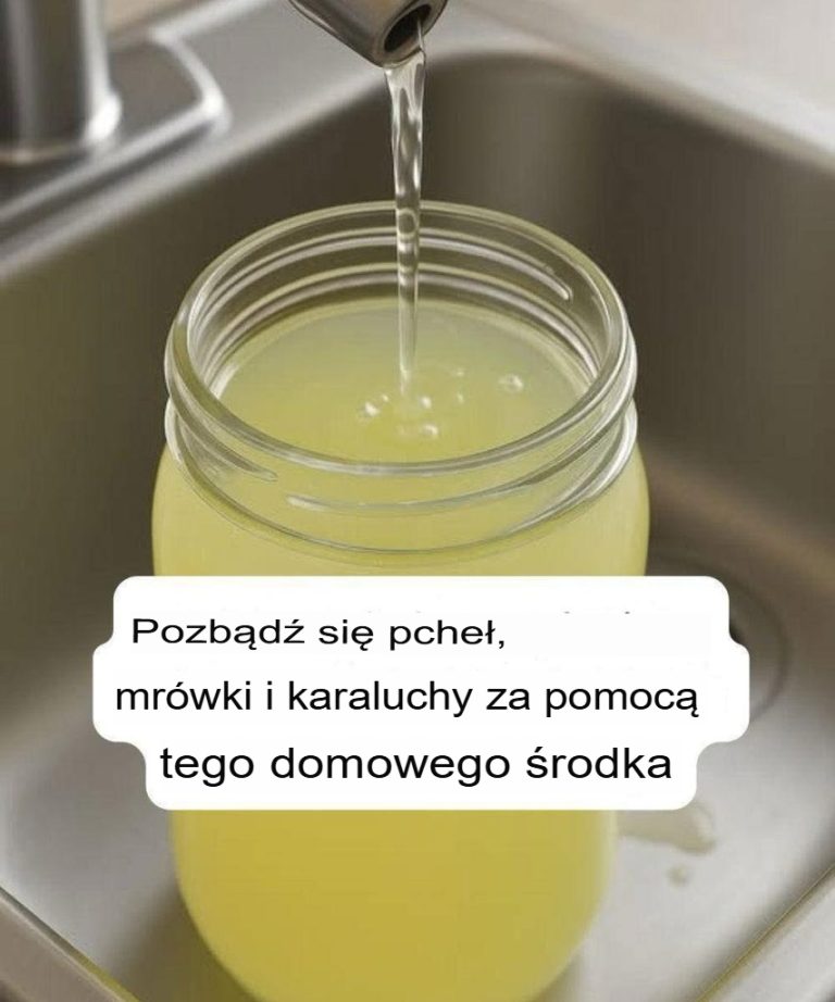Pożegnaj się ze szkodnikami w naturalny sposób: ten domowy spray odstrasza pchły, mrówki i karaluchy – bez użycia silnych środków chemicznych