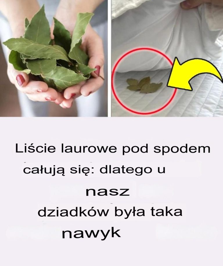 Liście laurowe pod poduszką: stąd ten zwyczaj u naszych dziadków