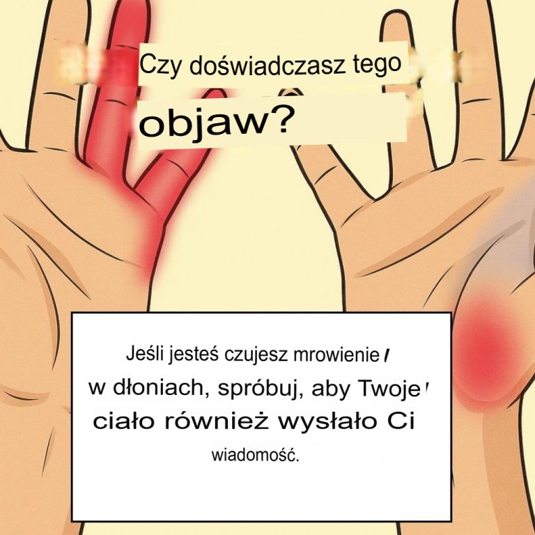Czy chcesz zrobić więcej zdjęć dań głównych? Proszę sprecyzować, co oznacza słowo „cela”.