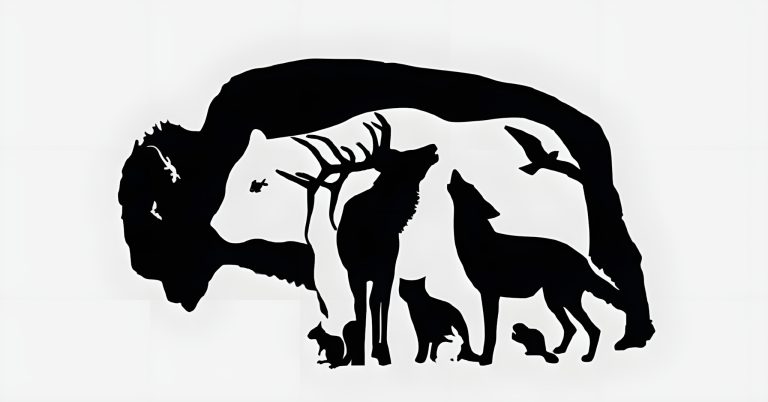 Mój mąż zamienił naszą noc poślubną w katastrofę – Historia dnia