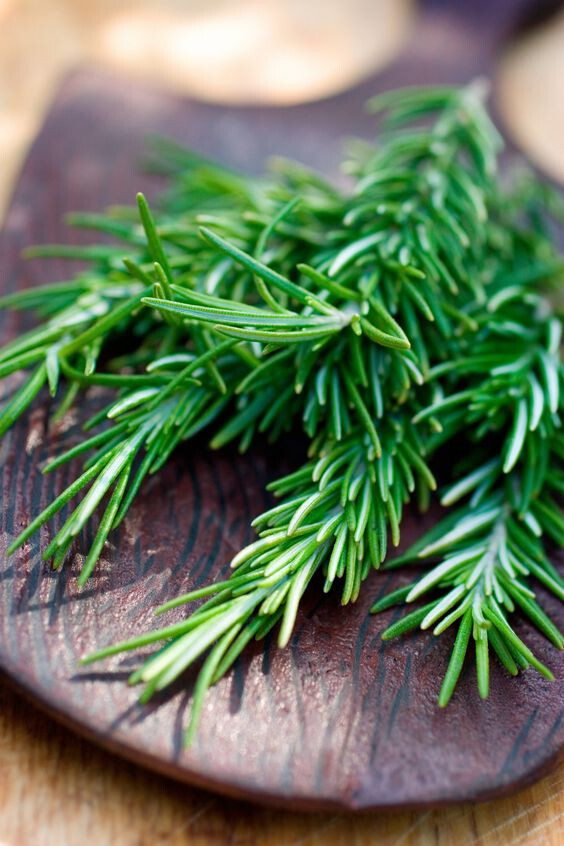 Odkryj zieloną magię z rozmarynem: naturalna kuracja do włosów ciemnych i lśniących!