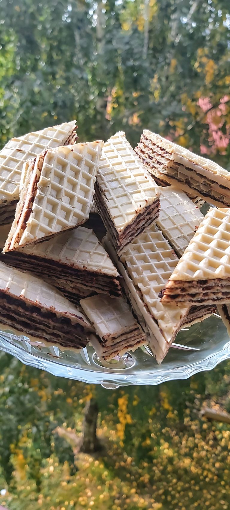 Wafle: