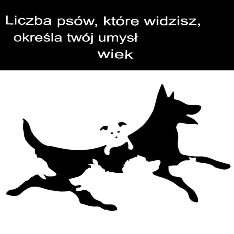 Liczba psów, które widzisz na tym obrazku, określa Twój wiek umysłowy