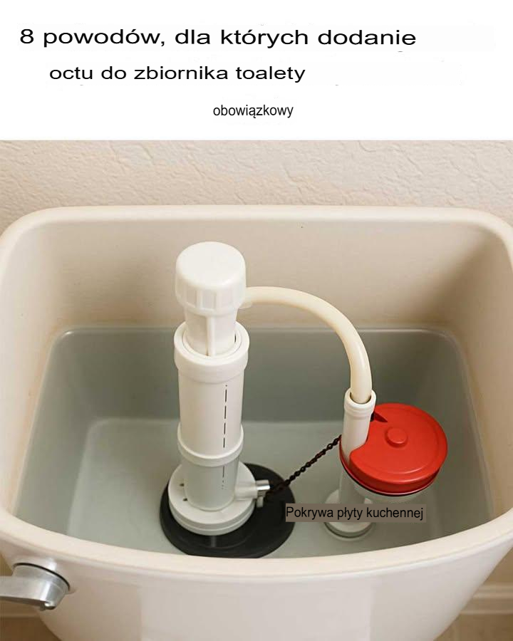 8 powodów, dla których dodanie octu do spłuczki toalety jest koniecznością