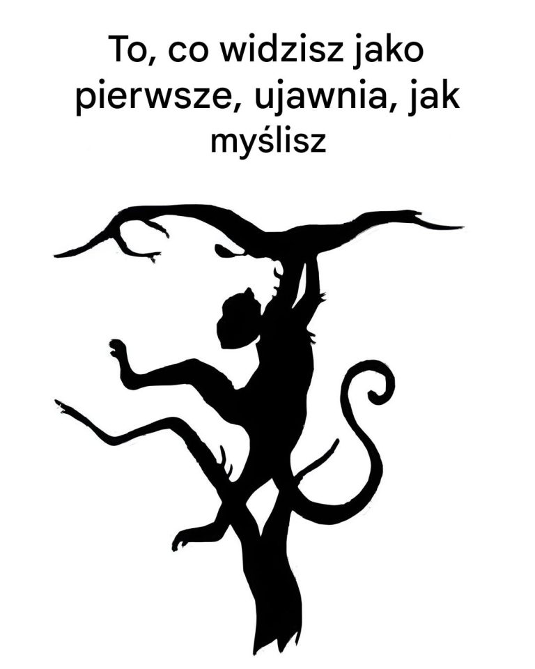 To, co widzisz jako pierwsze, mówi wiele o tym, jak myślisz