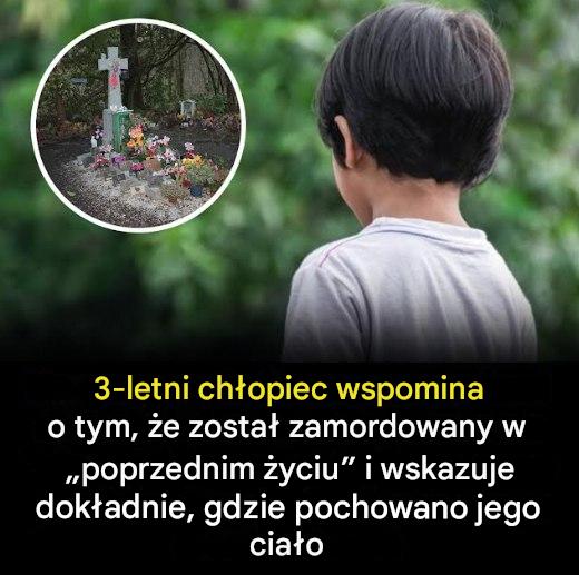 Małe dziecko twierdzi, że pamięta, jak w poprzednim życiu zostało zamordowane i wskazuje miejsce, w którym zostało pochowane.