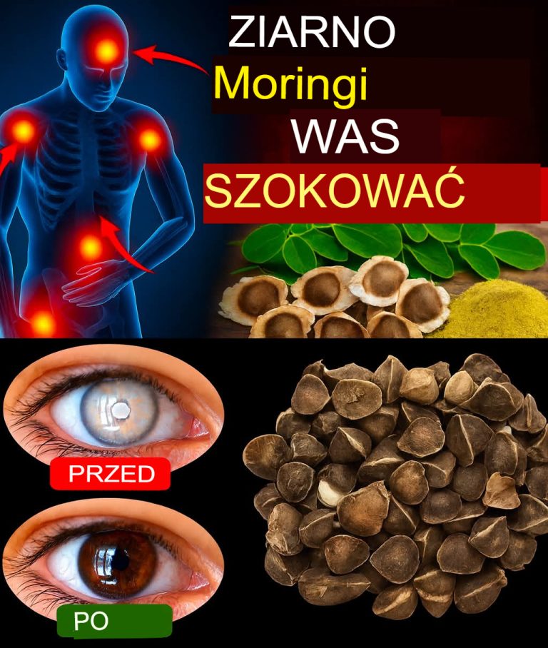 12 korzyści z nasion moringi, o których nie wiesz, ale powinieneś wiedzieć