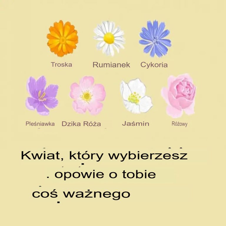 Kwiat, który wybierzesz, wskaże, co jest dla Ciebie najważniejsze