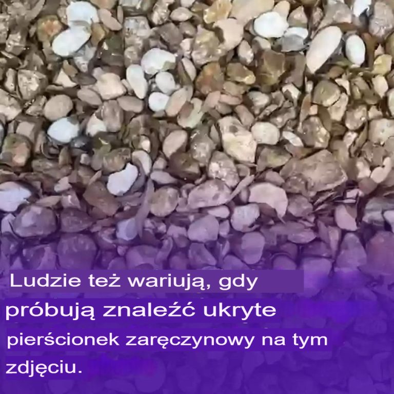 Tajemnicze zdjęcie rzuca wyzwanie internautom: czy odnajdziesz ukrytą obrączkę ślubną?