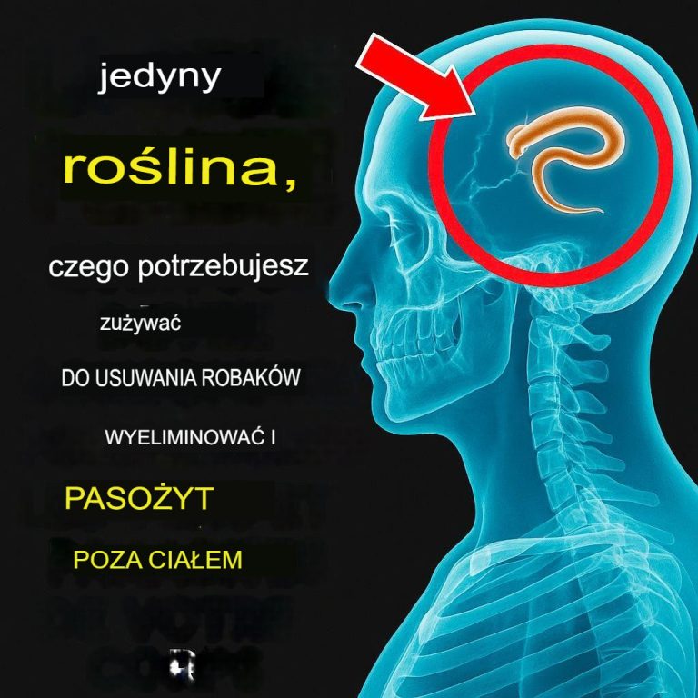 Wystarczą 2 łyżeczki… Wypłukują z organizmu wszystkie robaki i pasożyty.