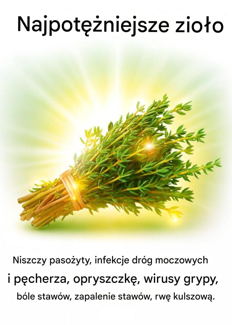 Najsilniejsze zioło, które zabija pasożyty, infekcje dróg moczowych i opryszczkę
