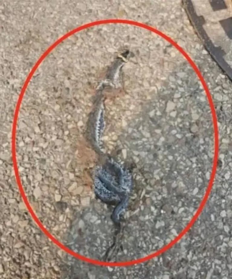 Kiedy natura puka do drzwi