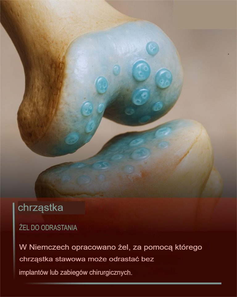 Milioner wraca do domu i jest oszołomiony, widząc swojego jedynego syna w kuchni z nową czarną dziewczyną
