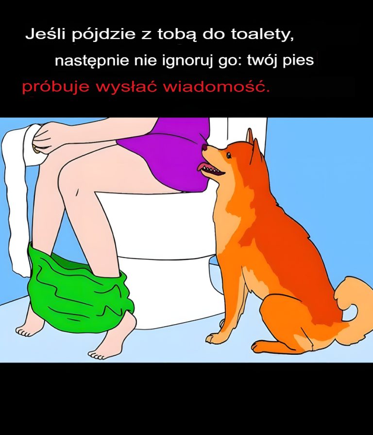 Jeśli pies idzie z tobą do toalety, nie ignoruj ​​go: próbuje ci w ten sposób dać znać.